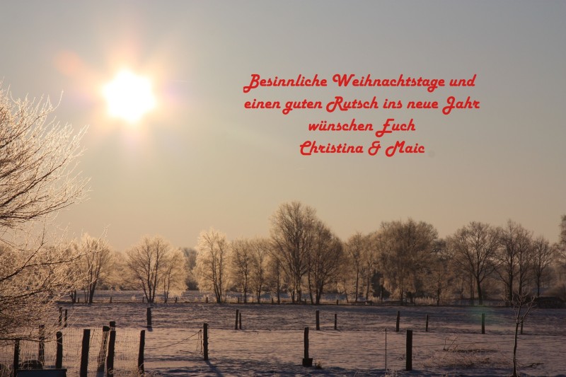 Frohe_Weihnachten_2012