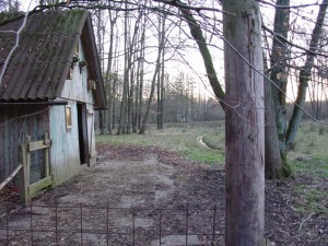 DSC01744